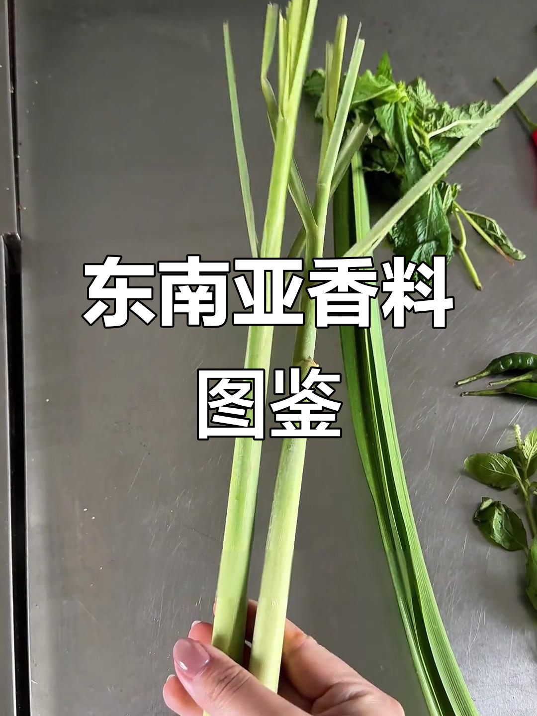 东南亚17种常见香料大揭秘,做泰国菜必备!