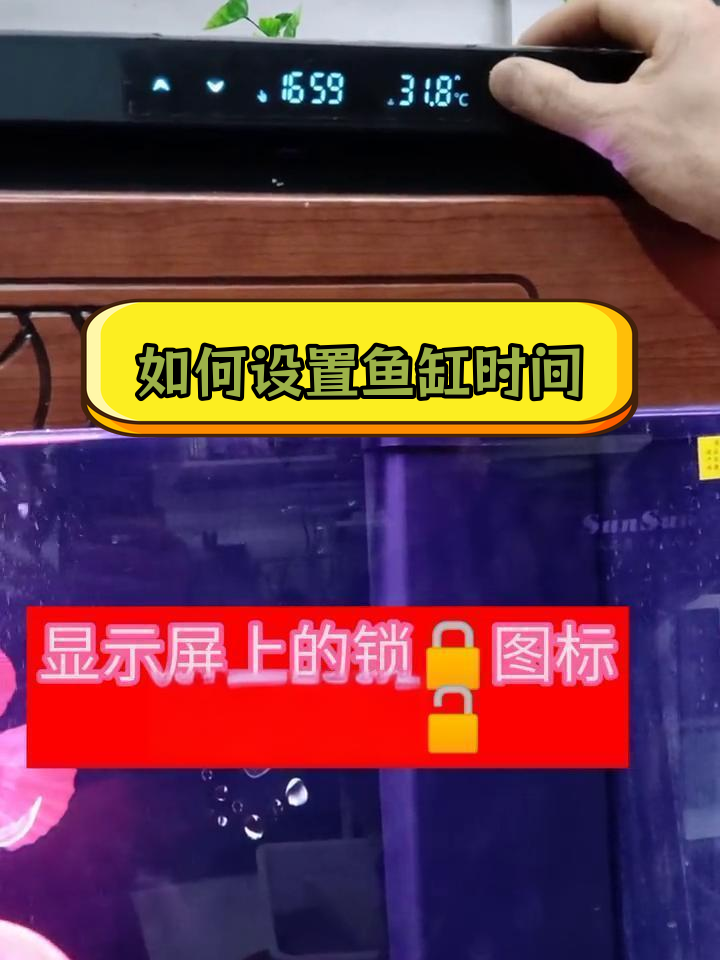 鱼缸显示屏时间调节教程
