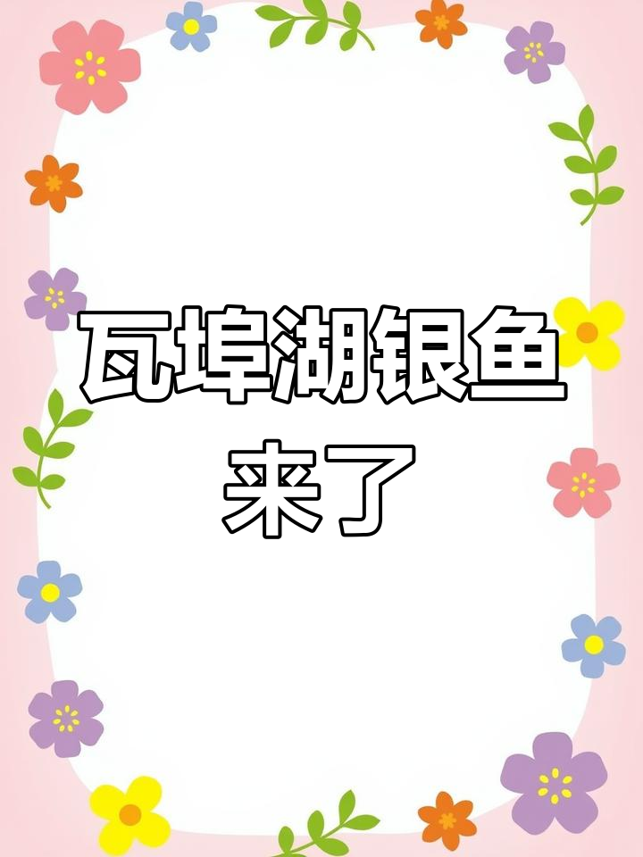 瓦埠湖银鱼新鲜到货,快来尝鲜!