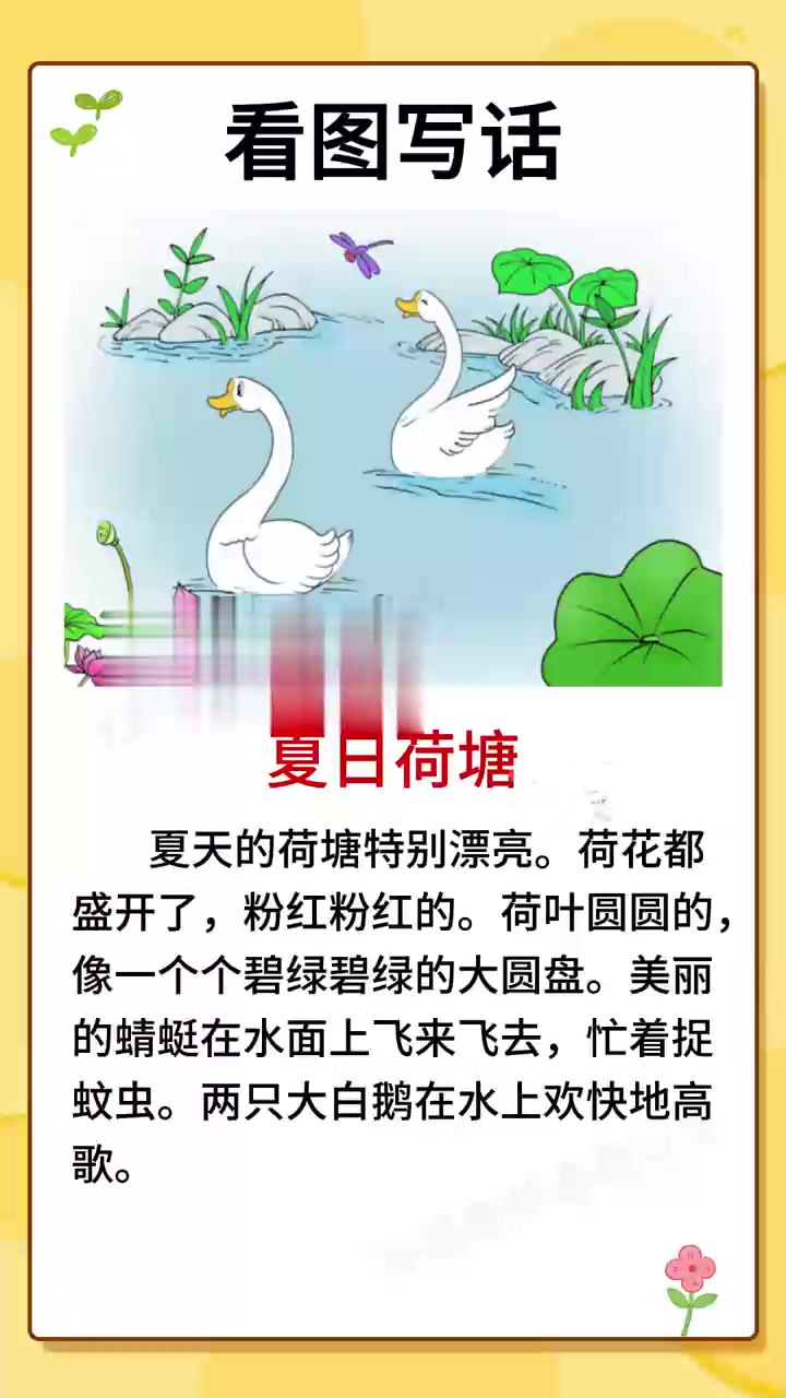 看图写话范文|《夏日荷塘》每日更新