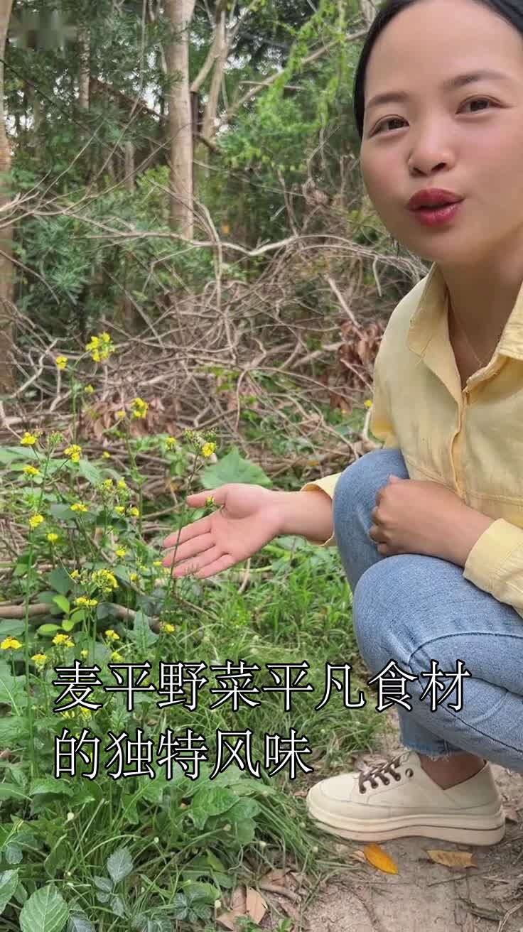 麦平野菜平凡食材的独特风味