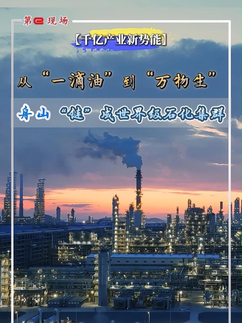 「千亿产业新势能」从“一滴油”到“万物生”舟山“链”成世界级石化集群