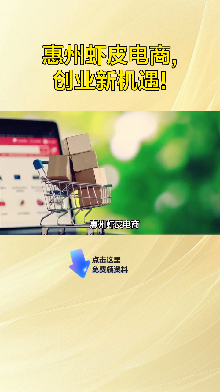 惠州虾皮电商,创业新机遇!