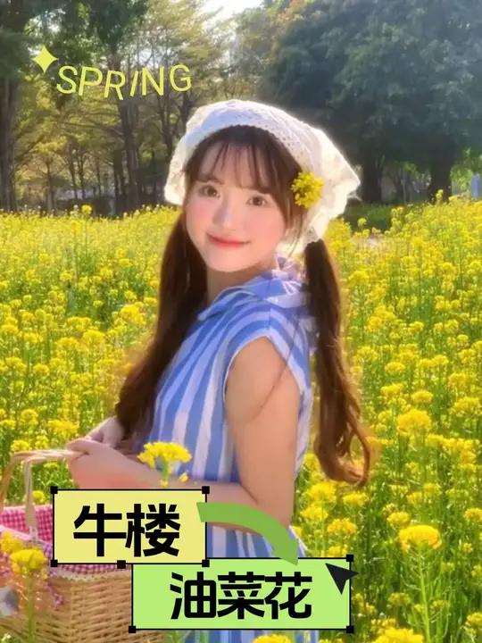 春天到了,踏青出游哪里去?快来济宁兖州牛楼,万亩油菜花田,还有各种好玩的设施,趁着早鸟票有