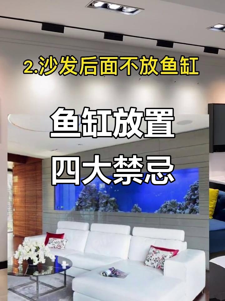 鱼缸摆放有讲究,避开这些误区家里更和谐