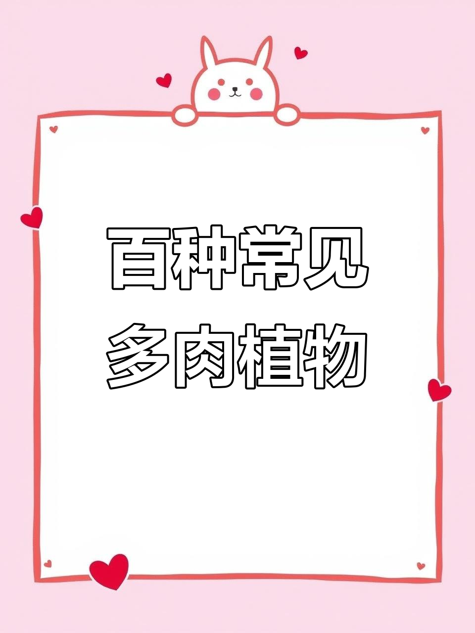 100种常见多肉植物大揭秘,轻松了解它们的世界