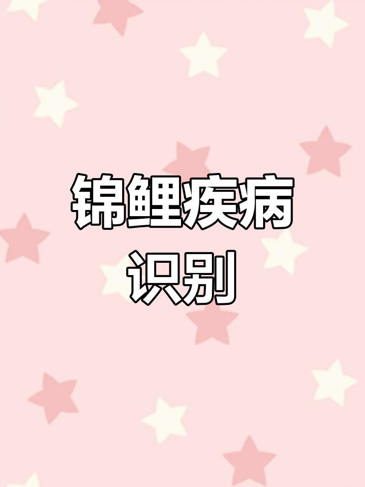 锦鲤常见病症及症状,及时发现治疗,保障健康养殖
