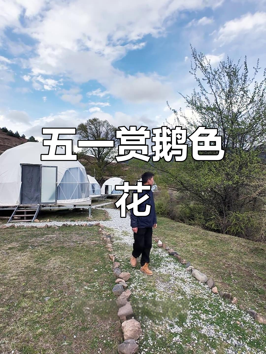 甲根坝俄色花即将盛开，五一前后迎来最佳观赏期