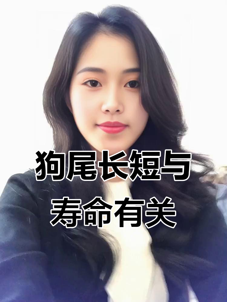 狗狗尾巴过长竟会影响寿命,剪短有好处