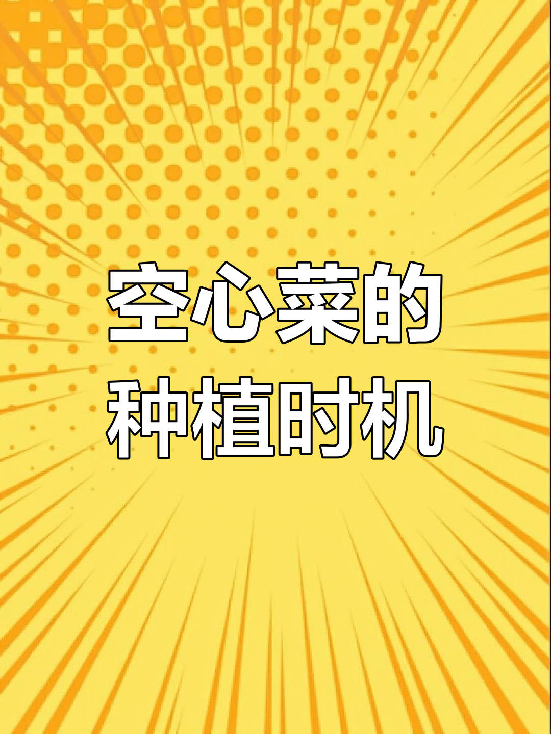 现在种空心菜,晚不晚?白梗柳叶品种种植技巧分享