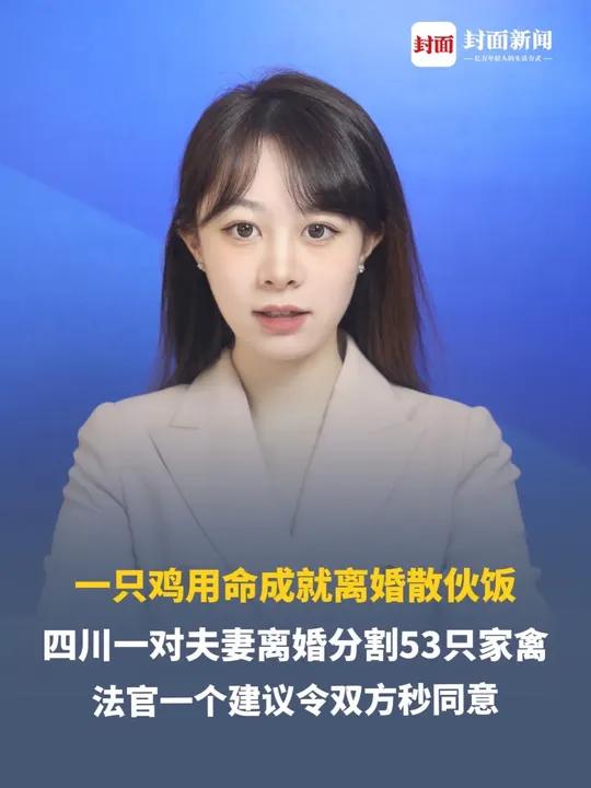 一只鸡用命成就离婚散伙饭！四川一对夫妻离婚分割53只家禽，法官无奈表示：要不把多的鸡炖了吃