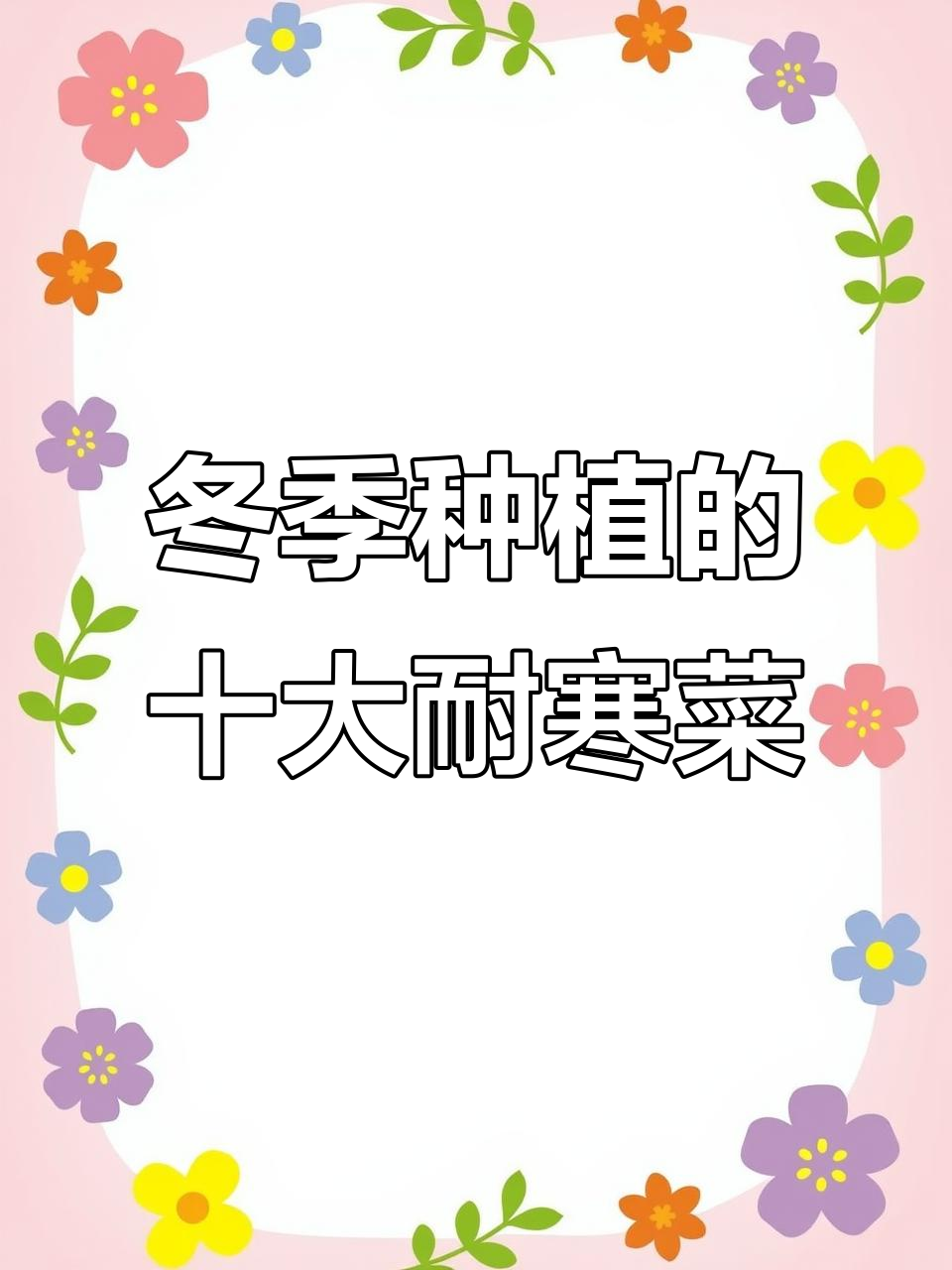 11月南方依然能种的十种耐寒蔬菜，轻松过冬