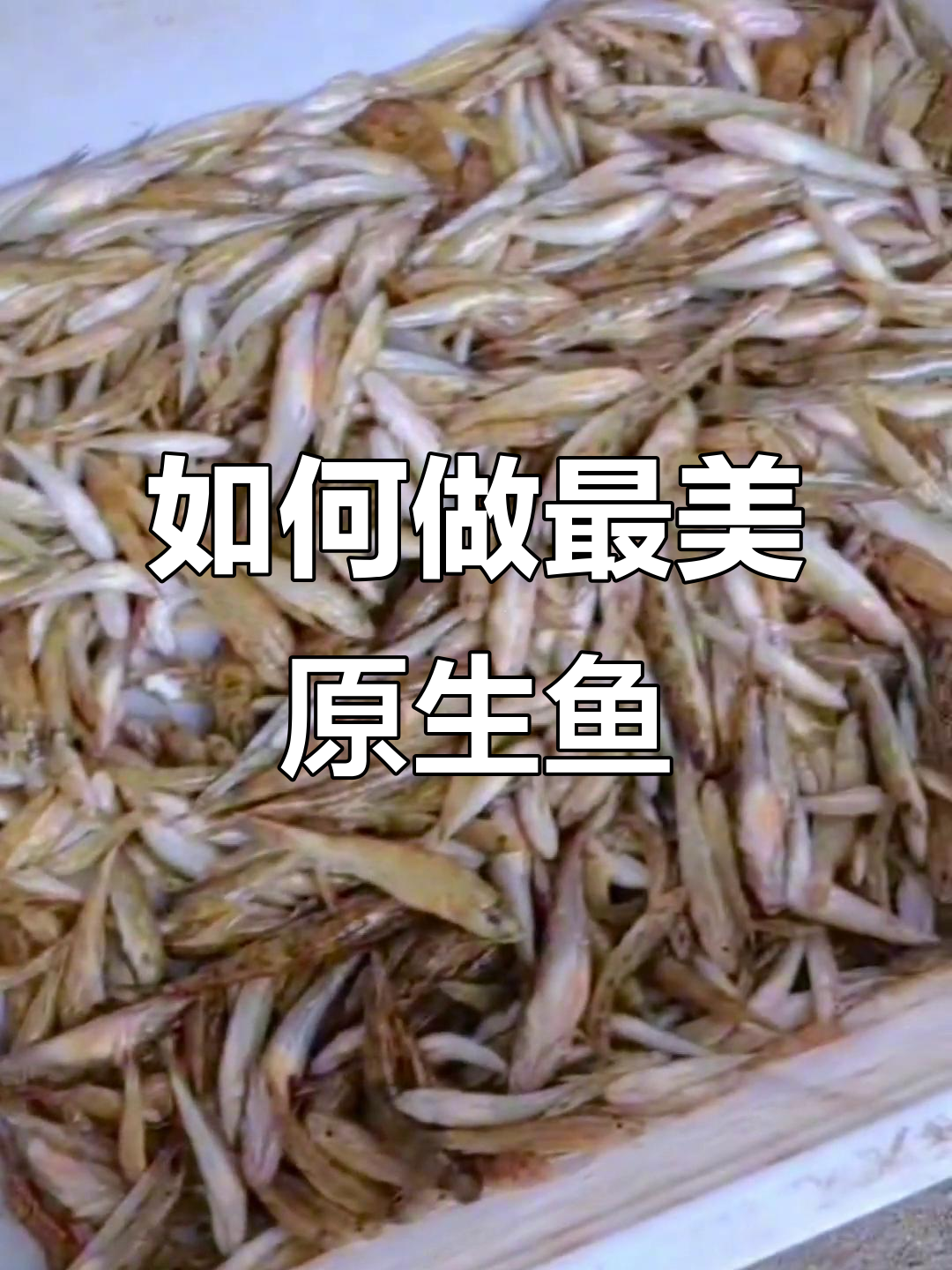 野生老虎鱼煎制秘诀,配什么酒最合适?