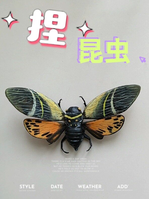 粘土教程/做个蝉
