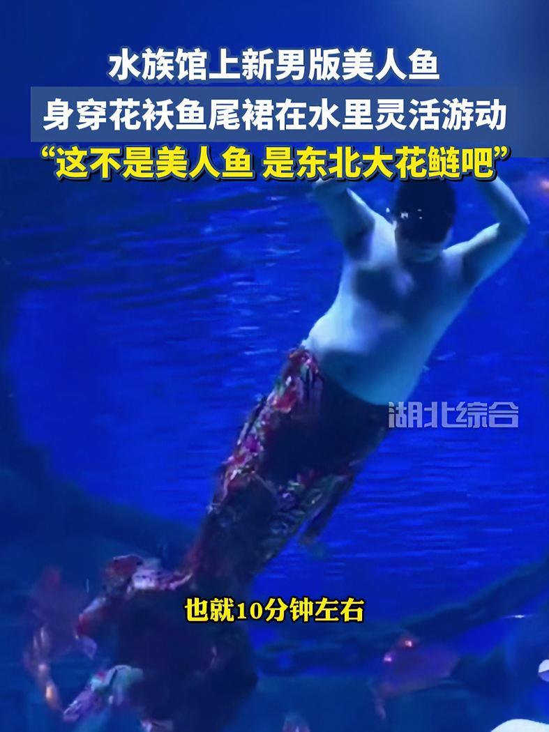 过完年美人鱼也长胖啦!水族馆上新东北花袄版男美人鱼