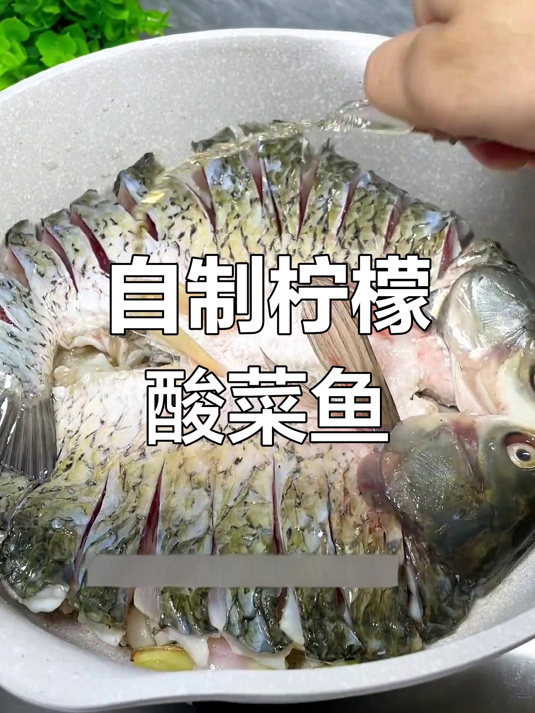 柠檬酸菜鱼,清新又美味