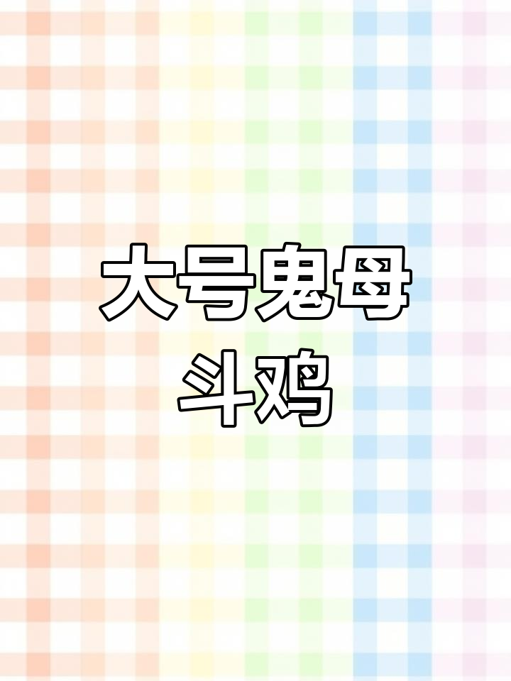 三只大号鬼母斗鸡,激烈打斗震撼来袭