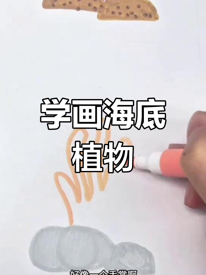 海洋植物海草简笔画教程