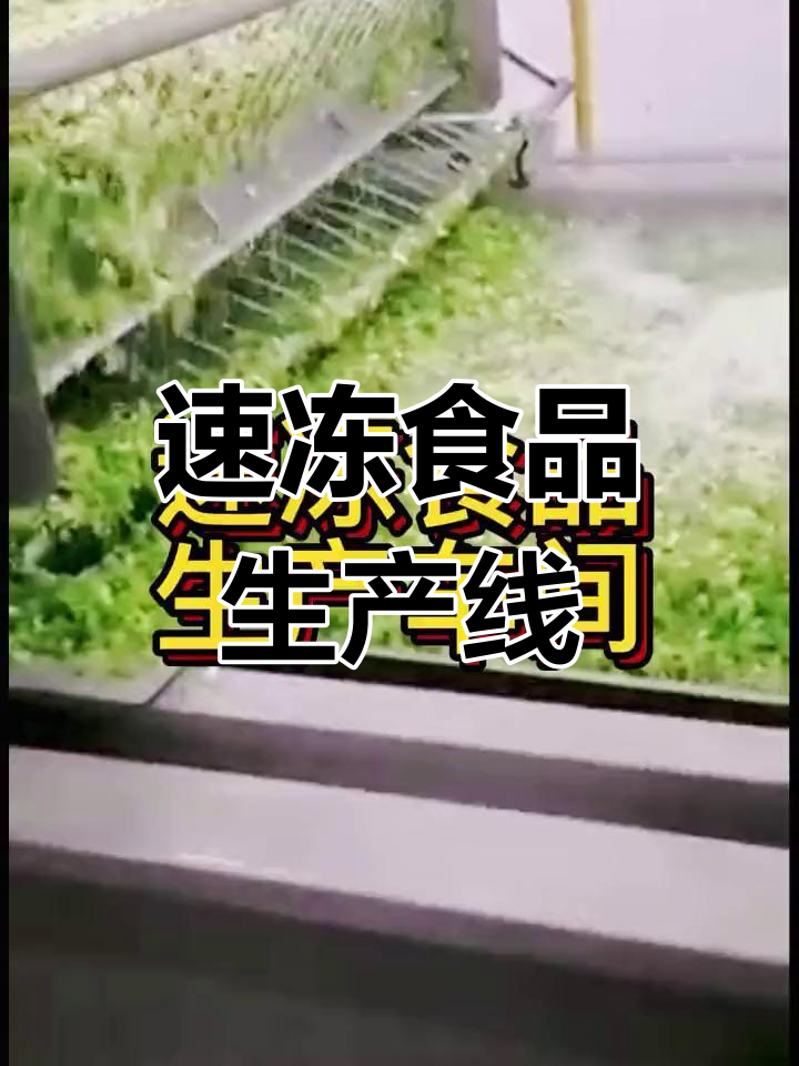 速冻蔬菜工厂,生产豌豆、毛豆等调味品