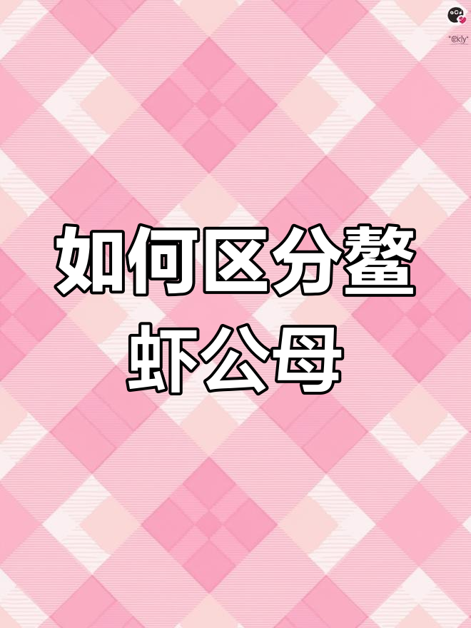 鳌虾公母分辨技巧,轻松掌握!