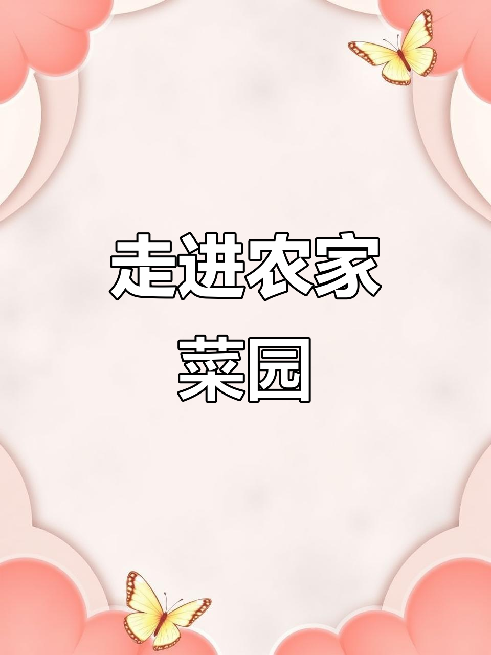 农家菜园大揭秘，带你了解乡村美食的魅力