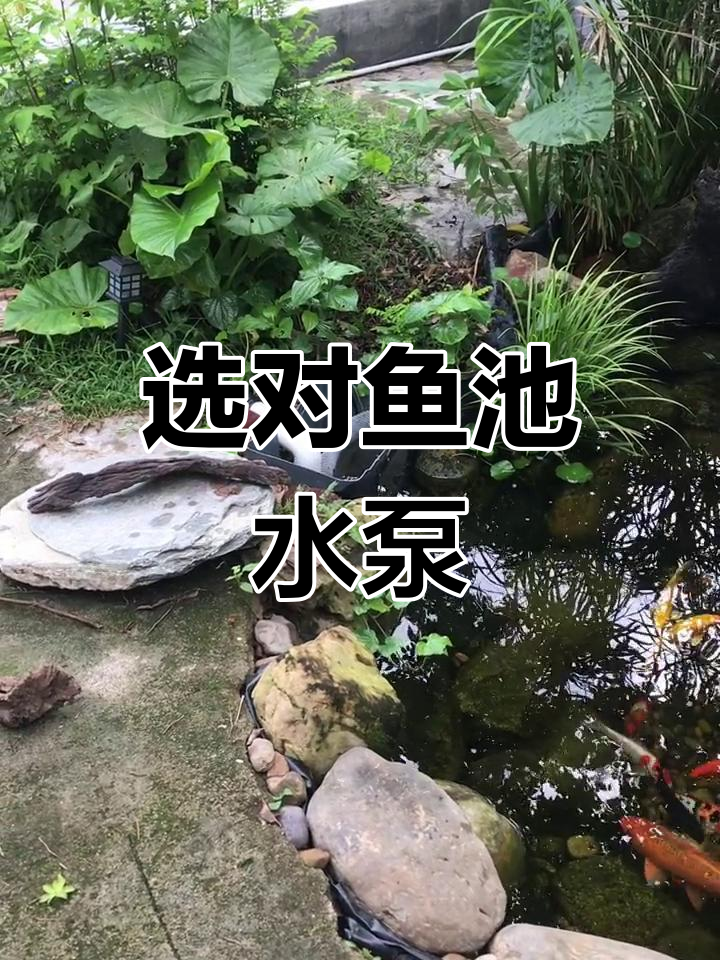 如何挑选适合的鱼池水泵?变频与烟斗泵的选择技巧