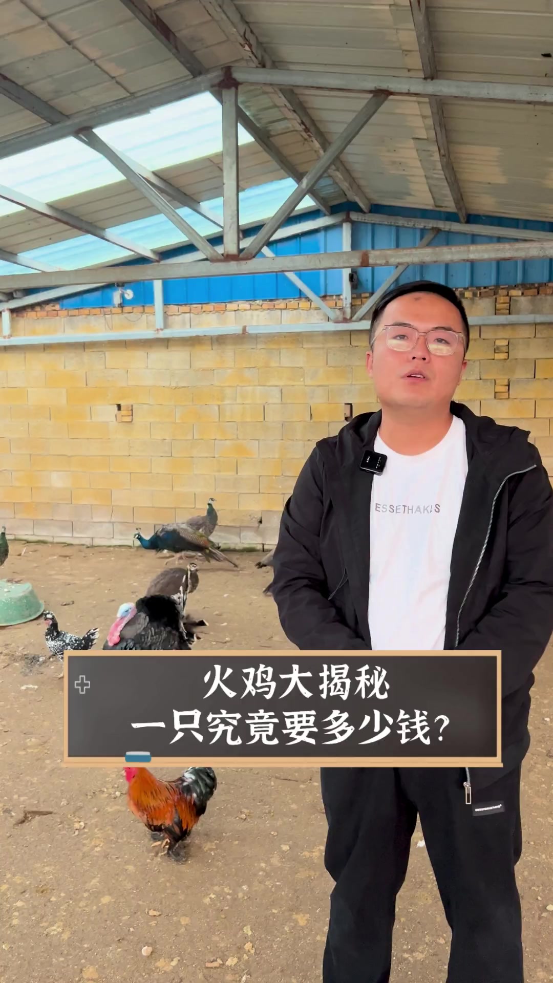 火鸡大揭秘,一只究竟要多少钱?