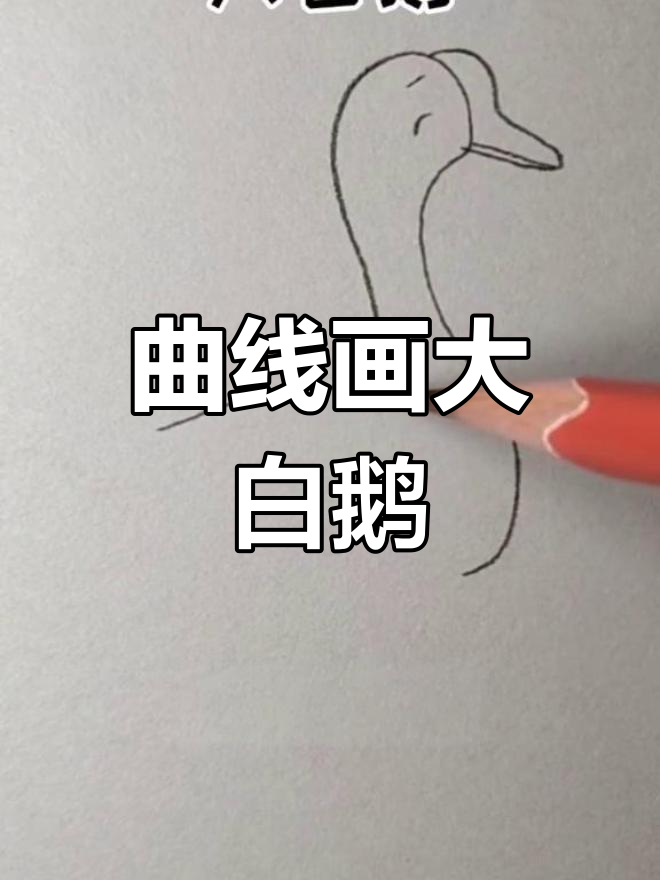 用一条曲线轻松画出游泳大白鹅,简单又有趣!
