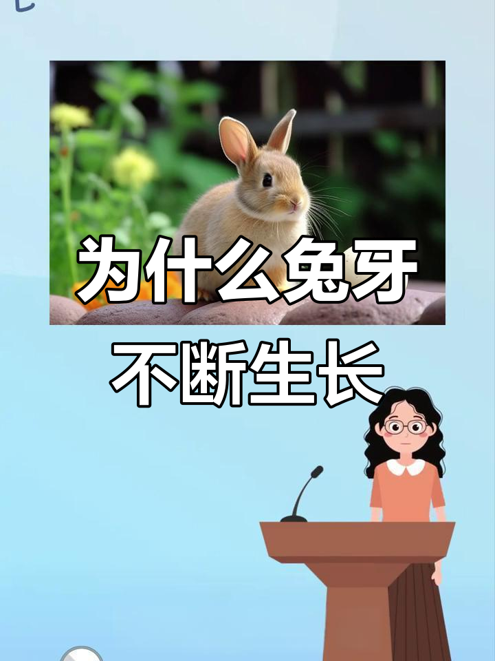 兔子牙齿为何不停长?原来是这样!