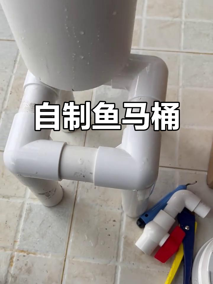 4月25日，分享自制鱼马桶与滴流盒制作过程