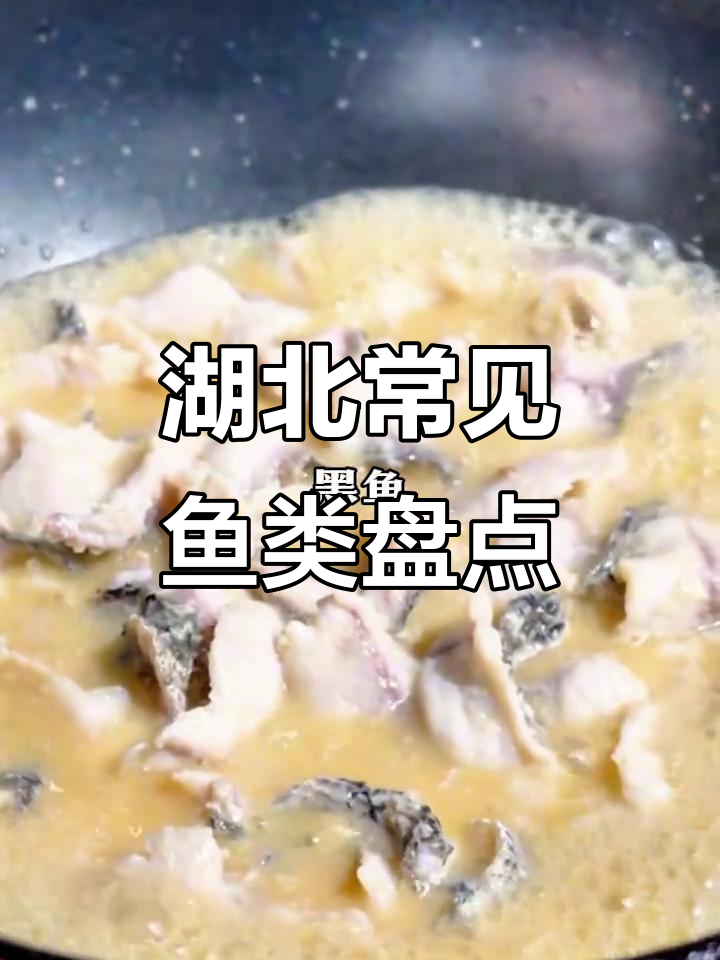 湖北人常吃鱼类大揭秘：桂鱼、翘嘴脖等十大品种