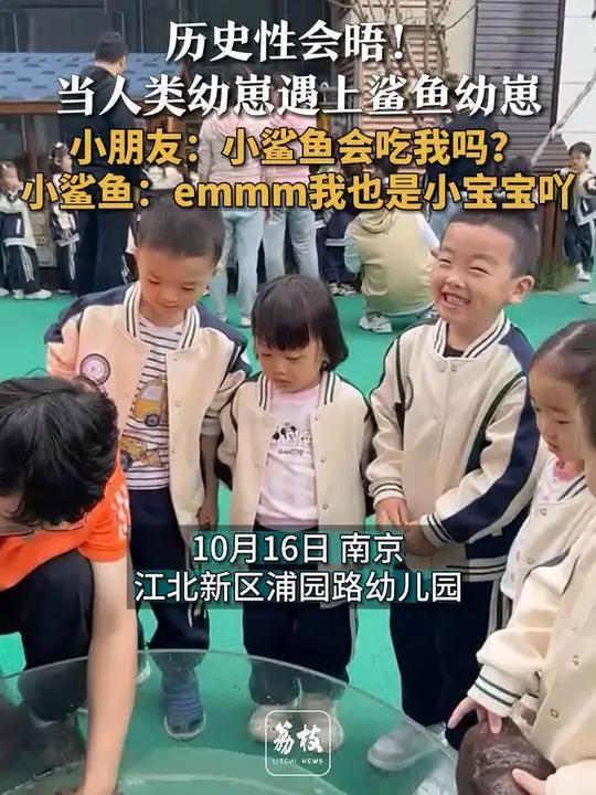 「历史性会晤!当人类幼崽遇上鲨鱼幼崽:当时双方都害怕极了」10月16日上午,南京江北新区浦