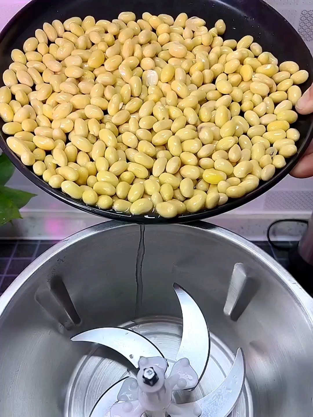 用绞肉机打豆浆也是可以的