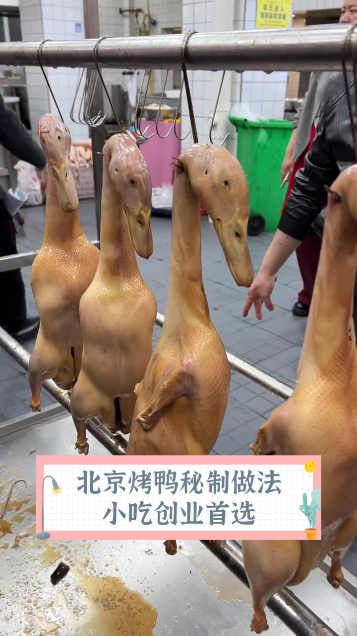 北京烤鸭秘制做法，小吃创业首选