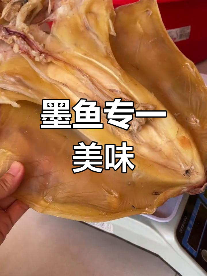 墨鱼与鱿鱼的鲜美差异,煲汤才是王道