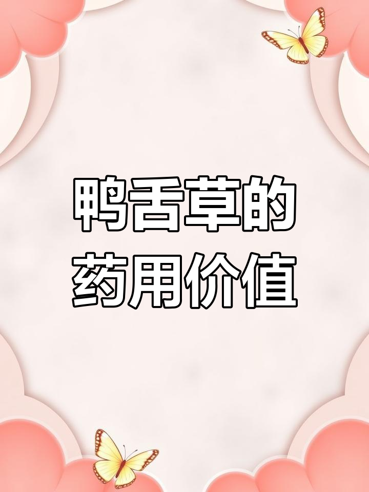 鸭舌草的抑菌功效与应用