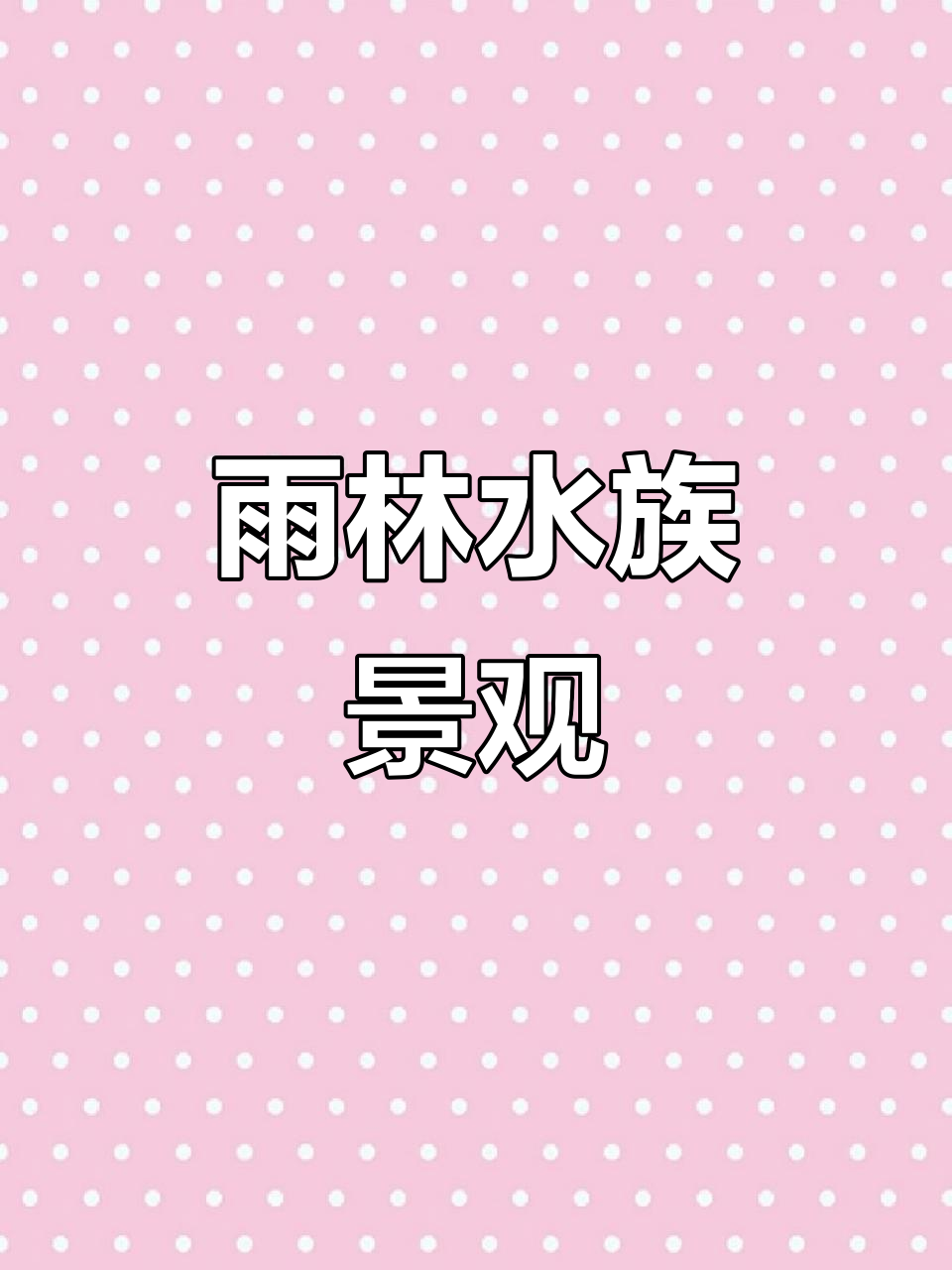 雨林造景,砂石雷龙与七彩神仙鱼共舞