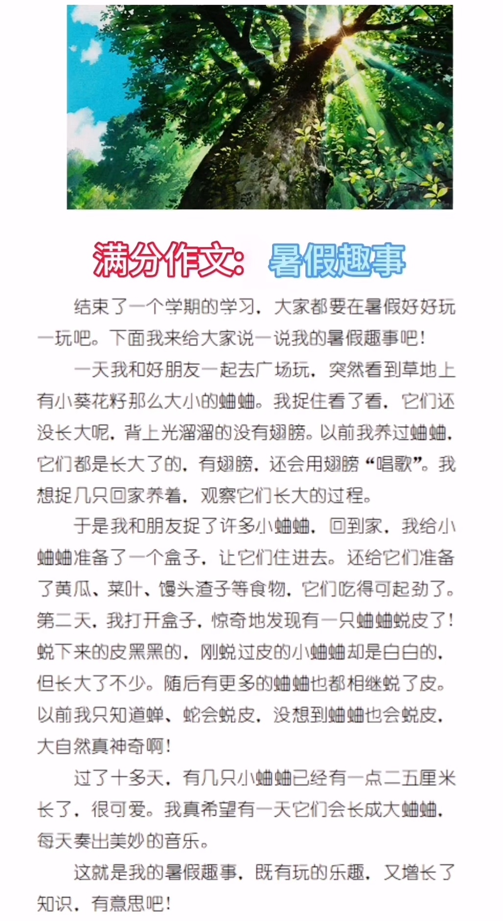 小学生暑假作文,暑假趣事!