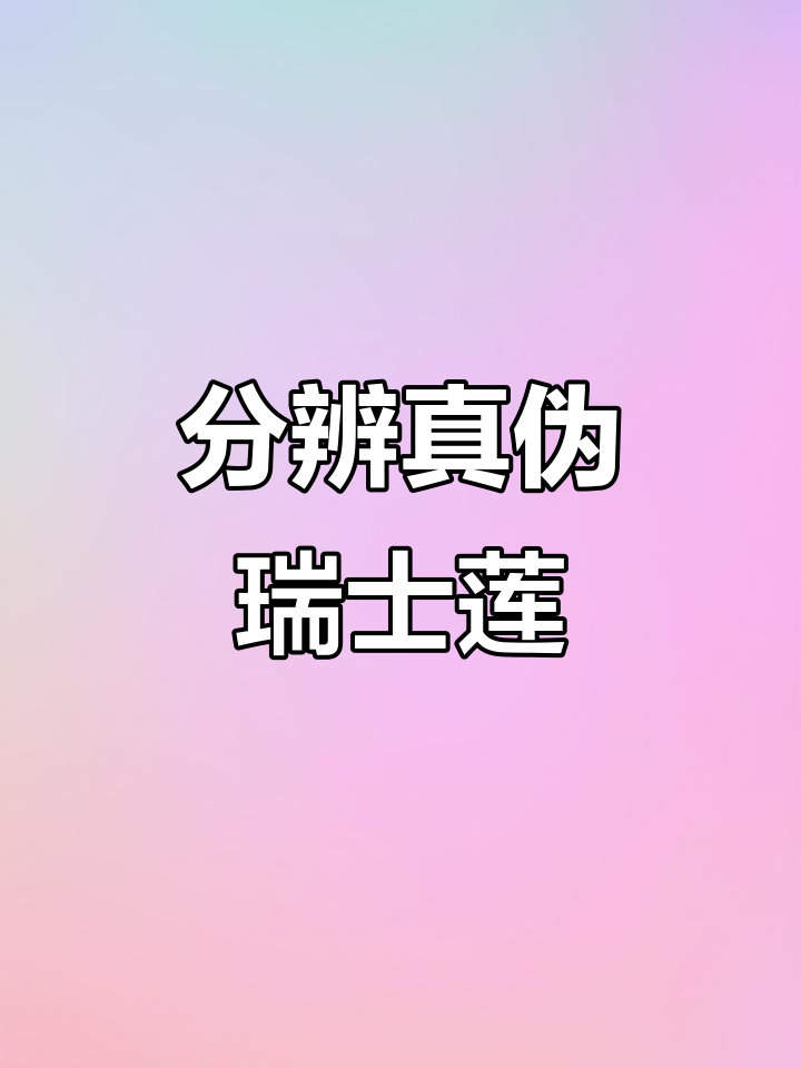 如何辨别真假瑞士莲巧克力,软心爆浆才是关键