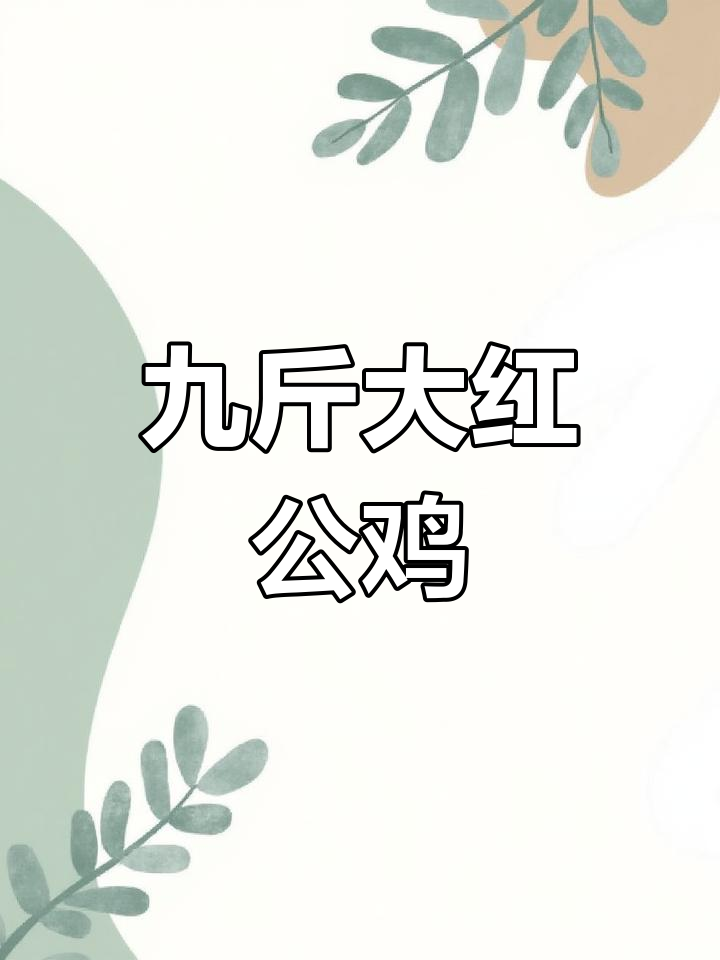 大红公鸡四个月长十斤,南北皆宜养殖