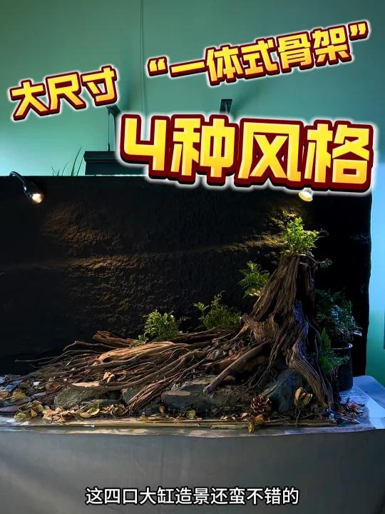 大尺寸“一体式骨架”鱼缸造景