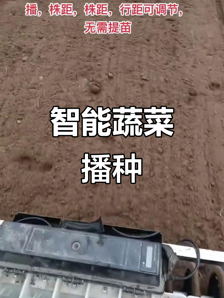 这款播种机,种子通用,精准调节间距,省时又高效