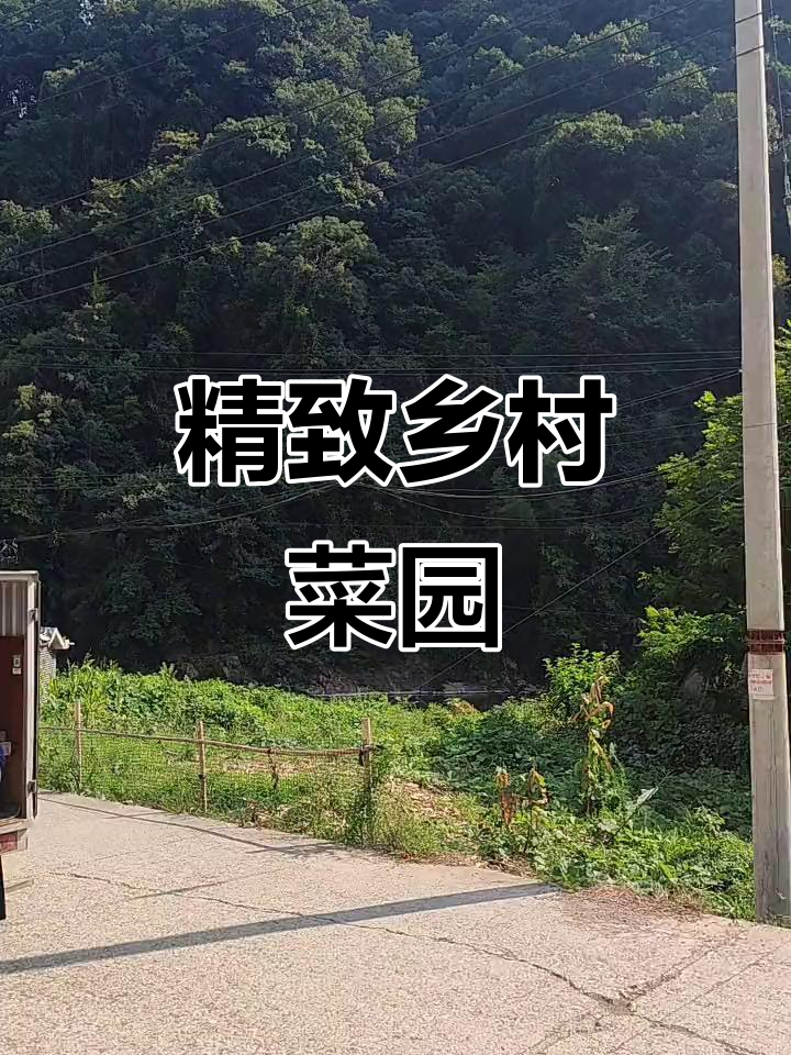 农村菜园子,10万一年能待多久?