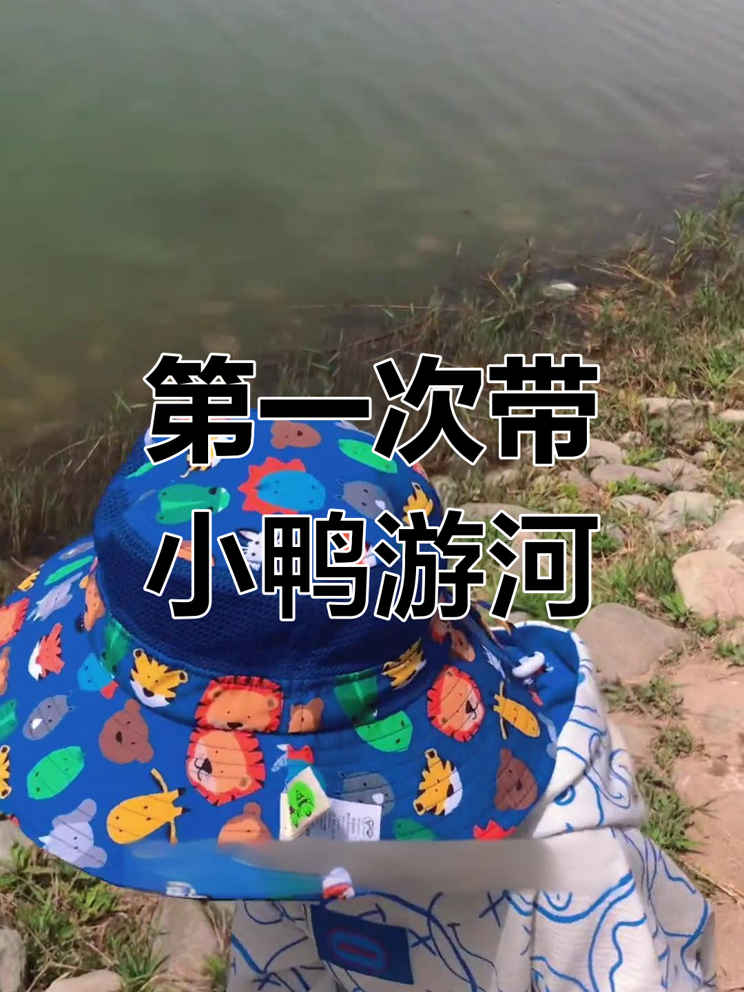 小鸭子首次游泳,竟然被扔河里!