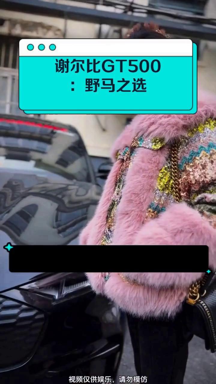 谢尔比GT500:野马之选