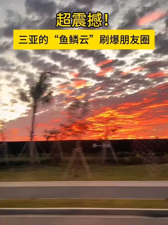 好美!“鱼鳞云”刷屏了!#三亚#鱼鳞云(来源:小芒万能的朋友圈)