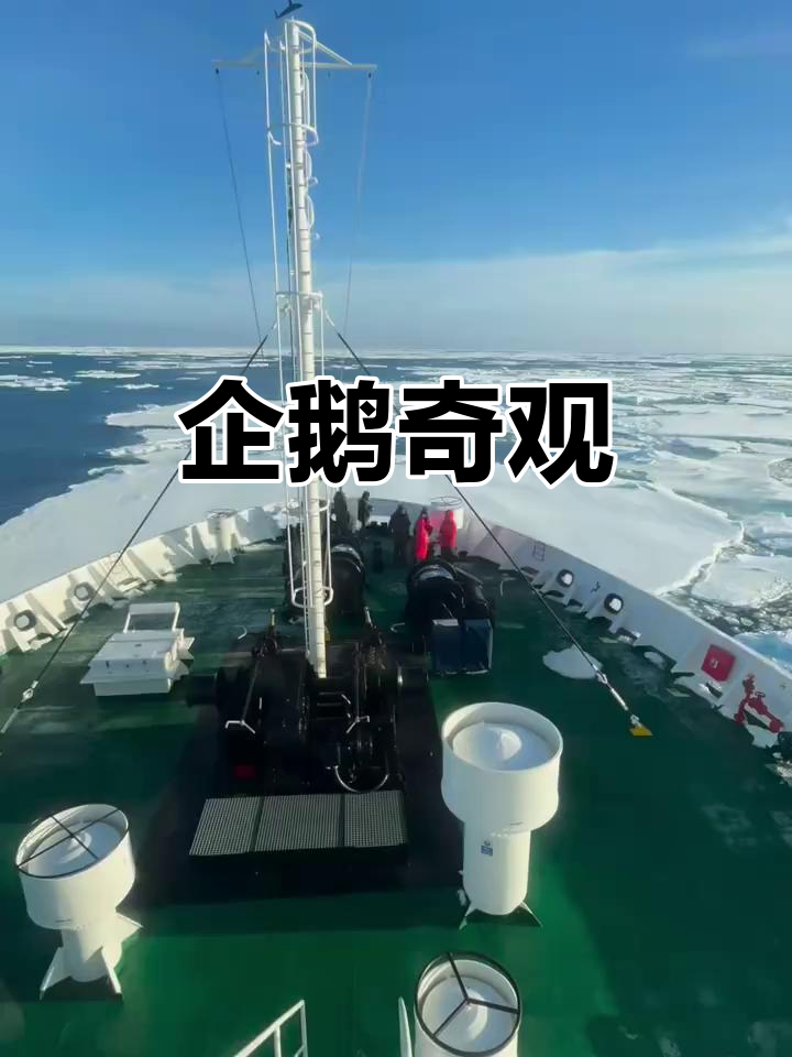 皇帝企鹅游泳、行走与跳跃，震撼探险实录