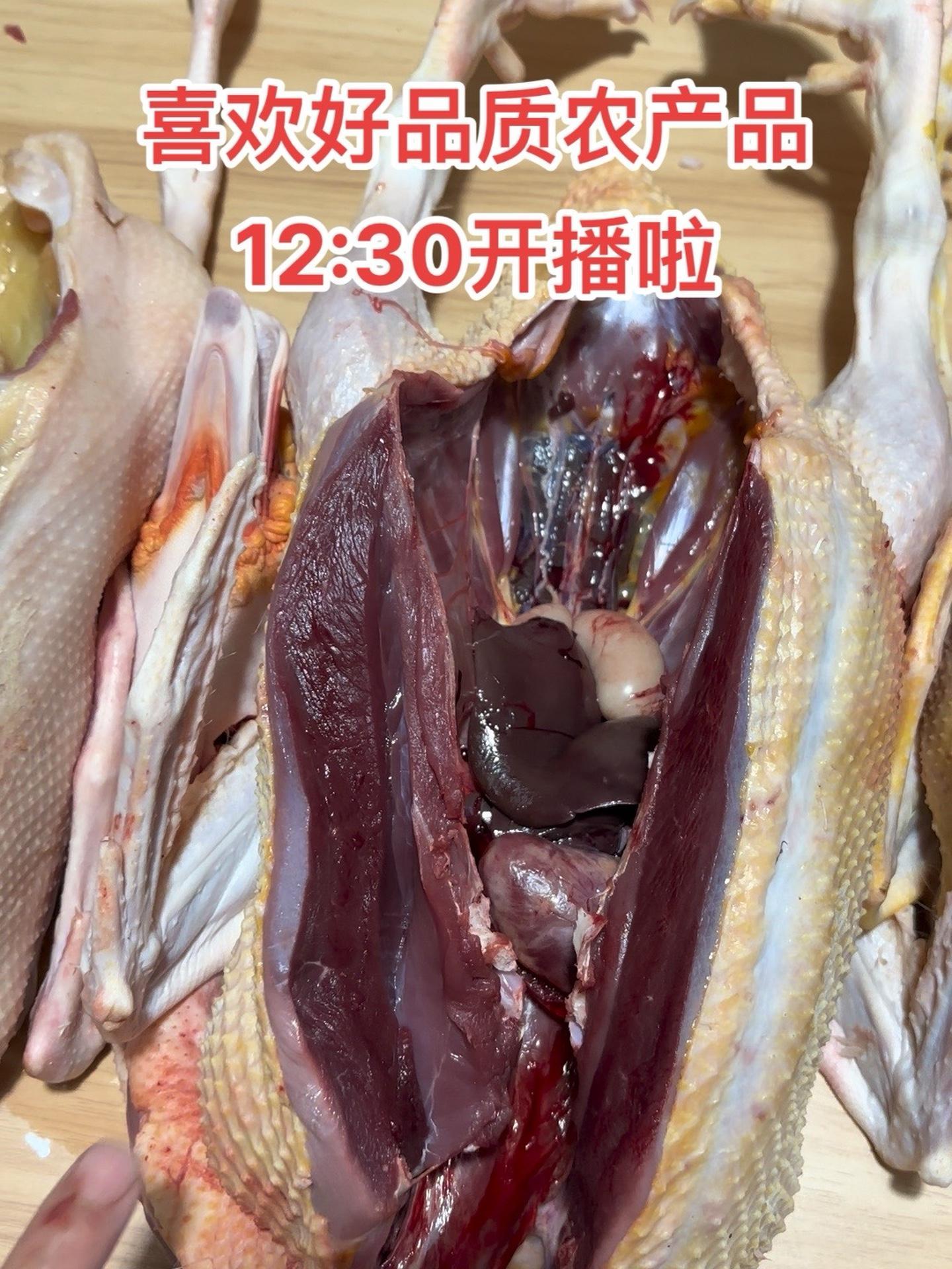 每天带给大家好产品农产品鸡鸭鹅土货 老鹅 土鸡土鸭 散养 家禽 想吃的来吧 12:30开播