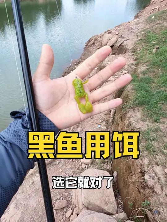 路亚新手钓黑鱼用什么饵上手快?来自钓友实战分享,踢水蛙棒棒的 我是亲眼看到钓友在用,才找个