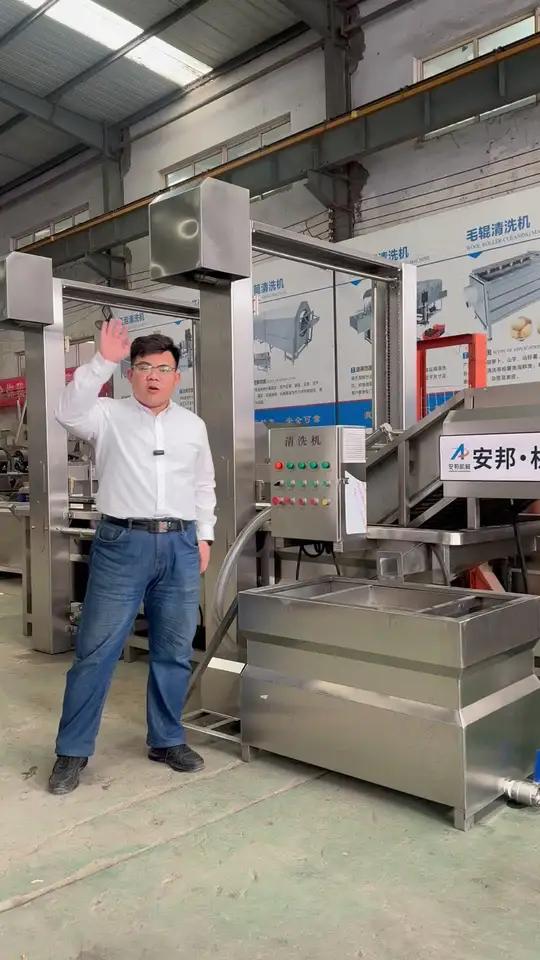 水流轻吻每一片菜叶，干净得像是刚摘的 #厨房黑科技#洋葱清洗机#芹菜清洗机#山野菜清洗机#